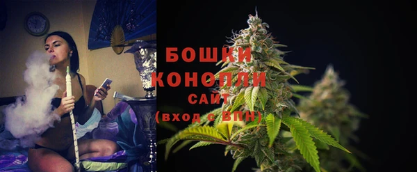 соль ск Волосово