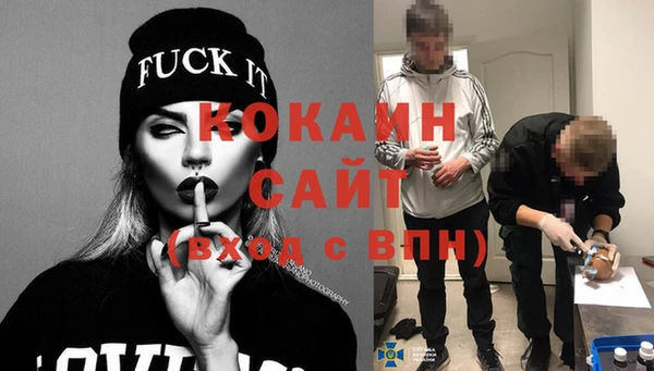 соль ск Волосово