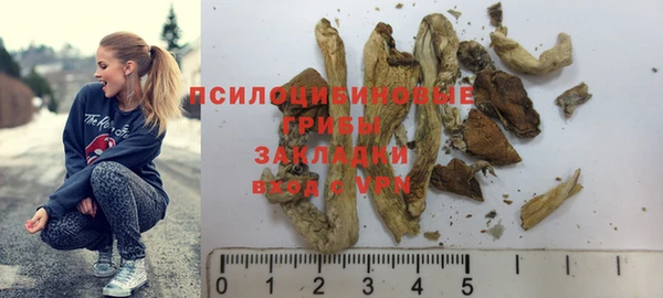 соль ск Волосово